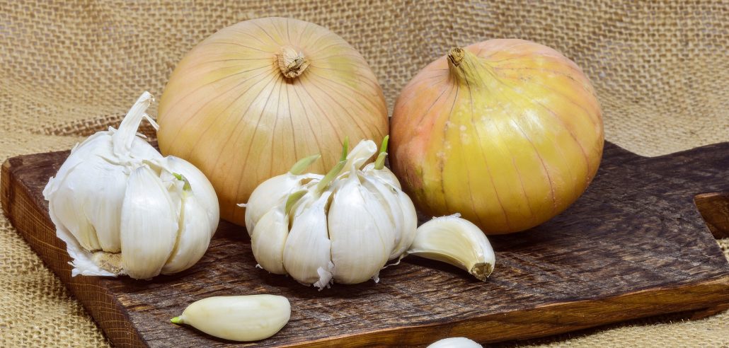 Onions and Garlic for Gut Health