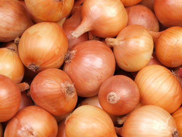 Why are onions so popular all around the world?