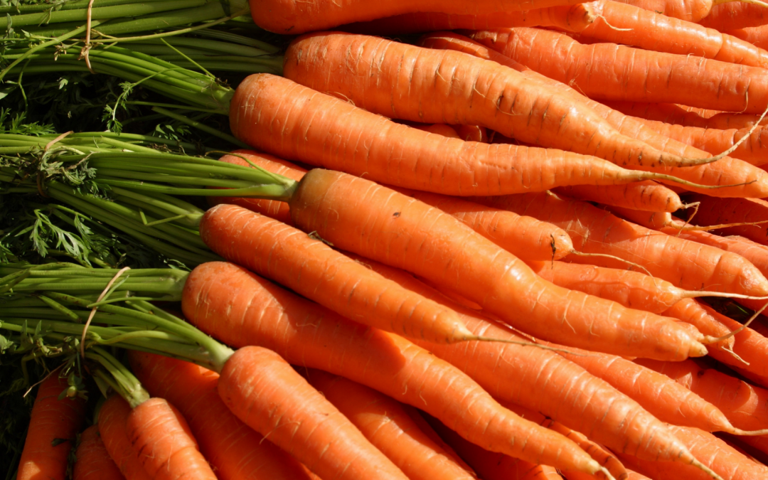 Spring is here! Which vegetables are in season in March?