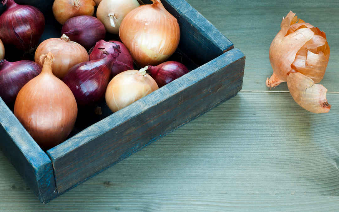 Learn about the most efficient way to store onions