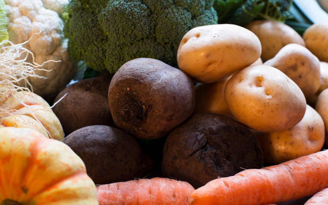 Winter is here! Which vegetables are in season in December?