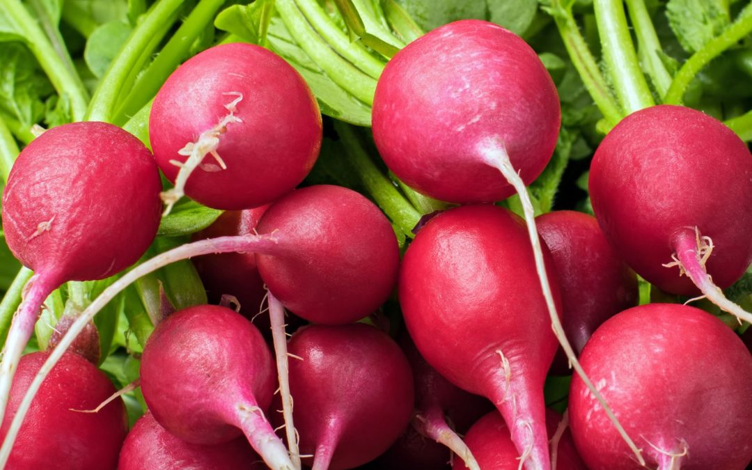 Spring is here – Which vegetables are in season?