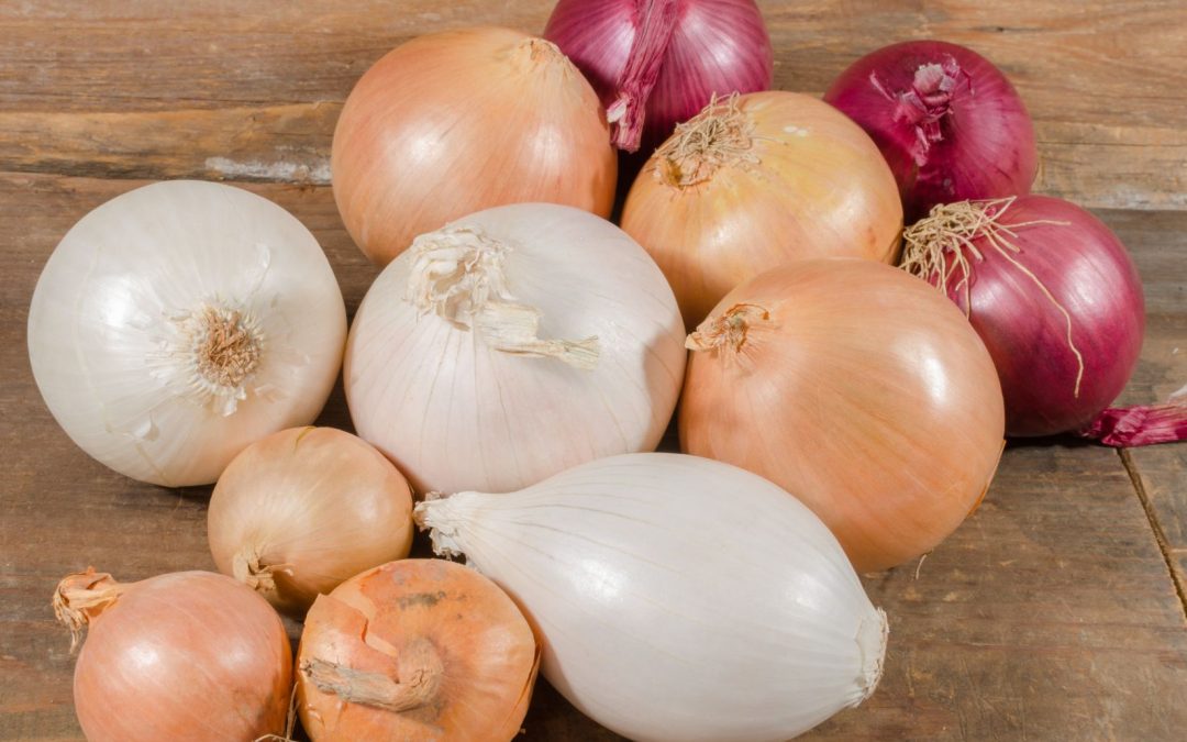 Exploring the different varieties and flavours of onions