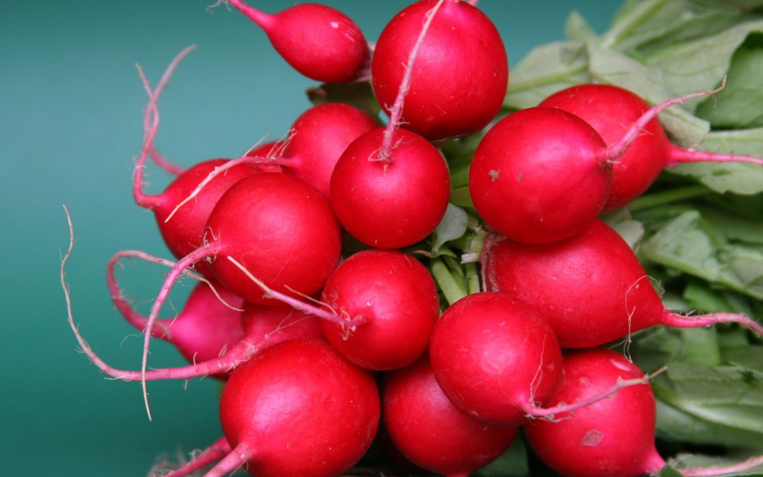 5 unique ways to use radishes in your dishes