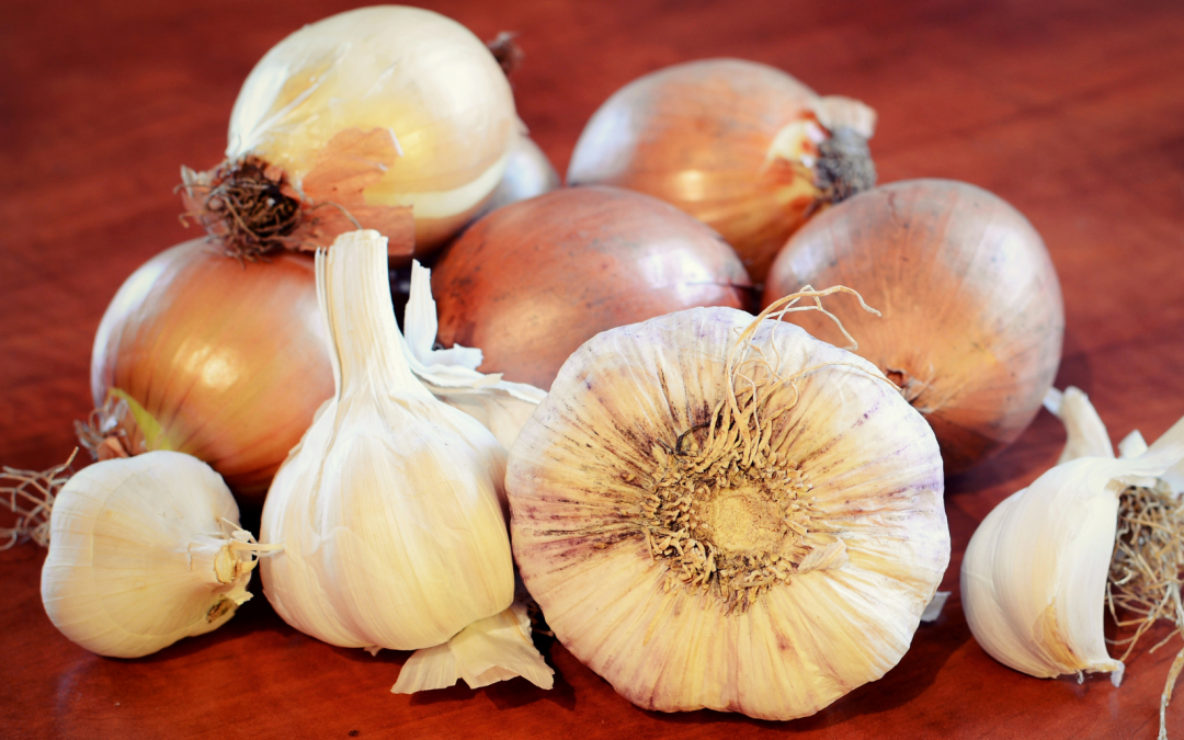 What is Allium? Learn about the world of onions, garlic, and more!