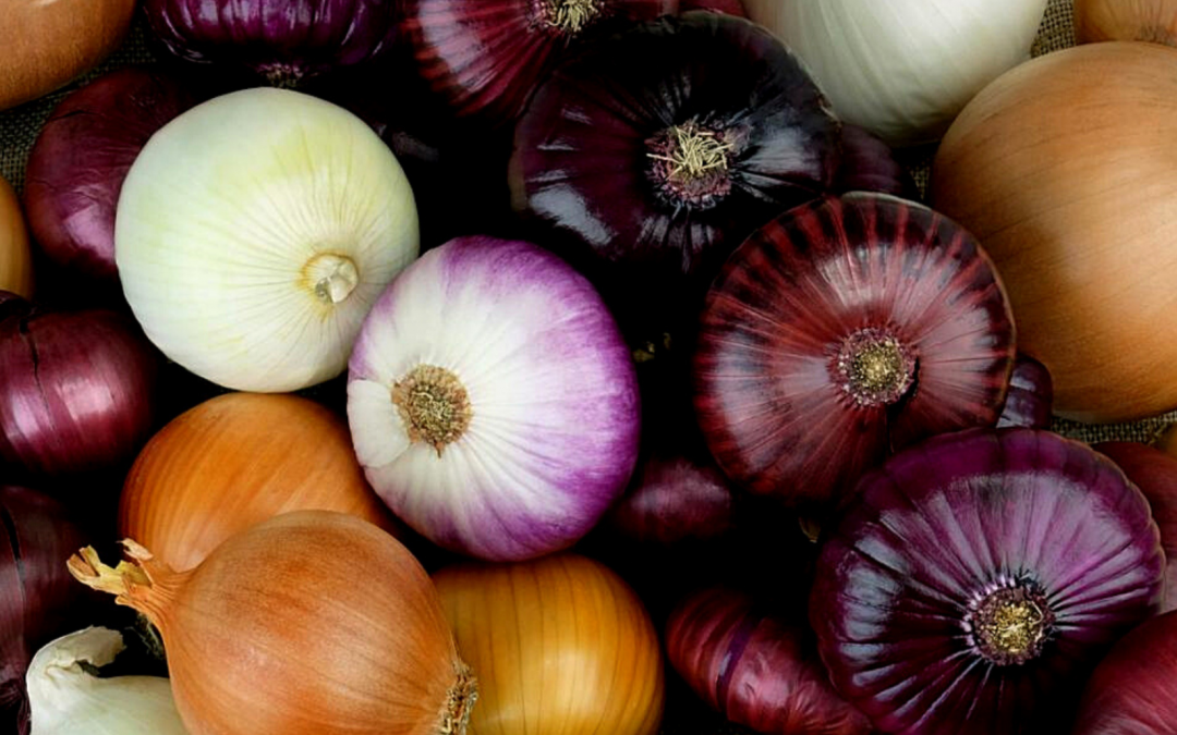 Navigating the onion shortage crisis
